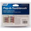 imageCamco A PopAToothbrush Wall Mounted Holder With Protective Cover Perfect For Traveling Dorm Bathrooms and More Holds 4 Toothbrushes White 57204Holds 4