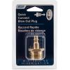imageCamco Blow Out Plug With Brass Quick ConnectAids in Removal of Water From Water Lines 36143