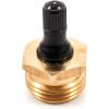 imageCamco RV Brass Blow Out Plug  Helps Clear Your RVs Water Lines During Winterization and Dewinterization 36153