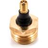 imageCamco RV Brass Blow Out Plug  Helps Clear Your RVs Water Lines During Winterization and Dewinterization 36153