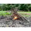 imageCamco 51017 Fire Starter Stick  Pack of 12One Size