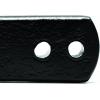 imageEazLift Elite Replacement Spring Bar  600 lb Capacity 48091