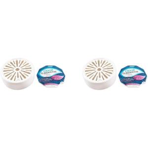 imageCamco 44260 Smell Eliminator with Purifying Charcoal  Absorbs and Eliminates Foul Smells  Features a LongLasting Wildflower Scent for Up to 60 Days81 Fl Oz Pack of 2