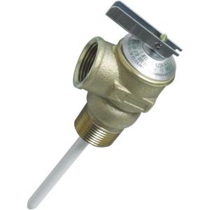 imageCamco 10463 34quot Temperature and Pressure Relief Valve with 1quot EpoxyCoated Probe