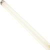 image:imageCamco Unknown 54880 12V F8T5CW Fluorescent Light Bulb  Pack of 2 12 Inches2 Count Pack of 1